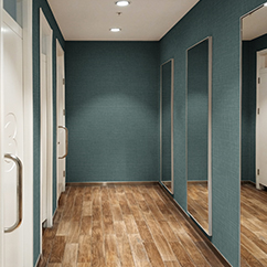 Inspiration clothing-store-dressing-room