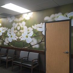 Inspiration mike-wallis-2017-06-30_3-33-02